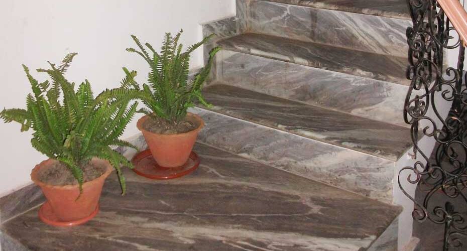 Shanti Palace, Varanasi 5